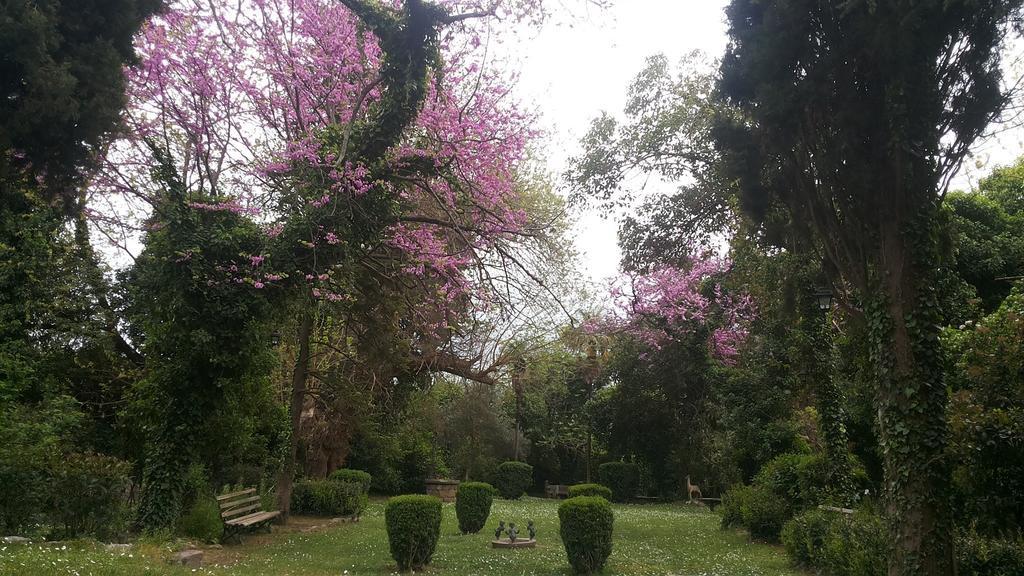 The Villa Averoff Kírinthos Kamer foto